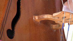 Luth et violoncelle baroque